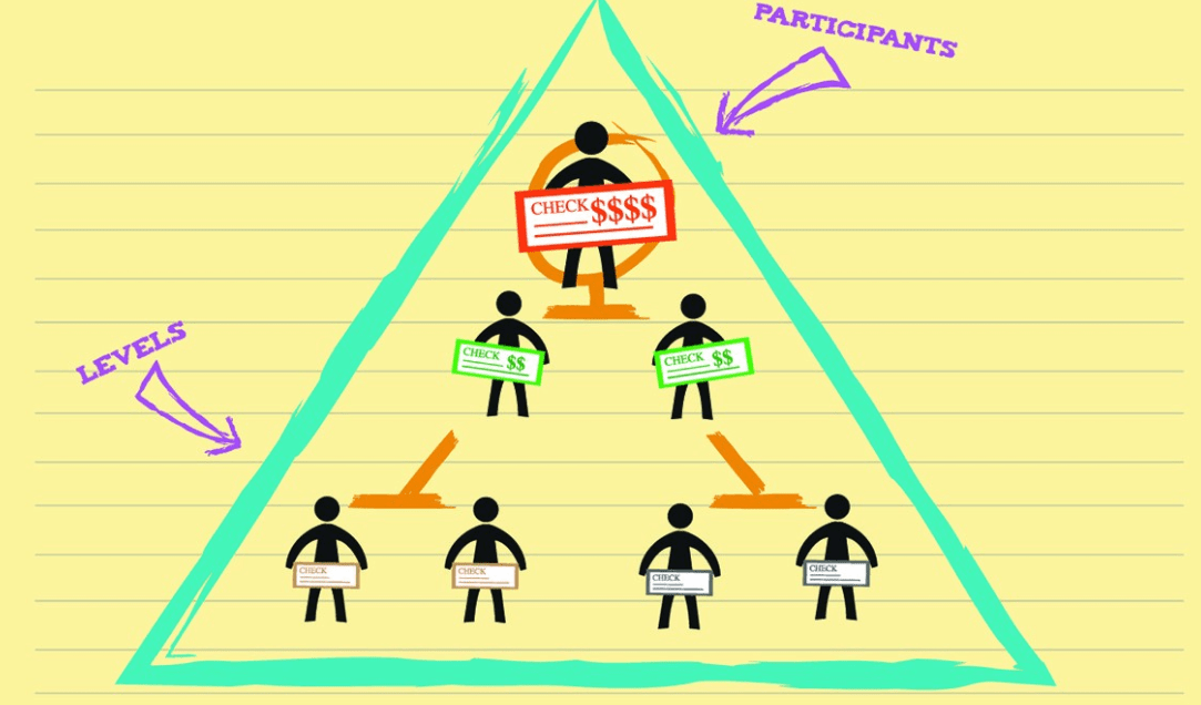 Participants