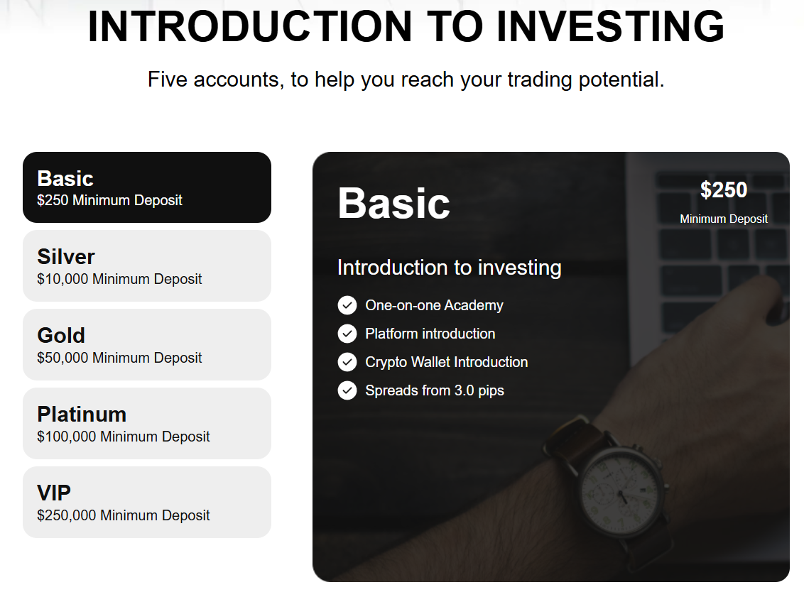 Bullishcap - account types