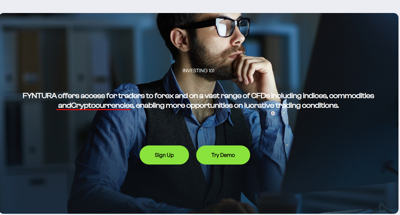 Fyntura - website 2
