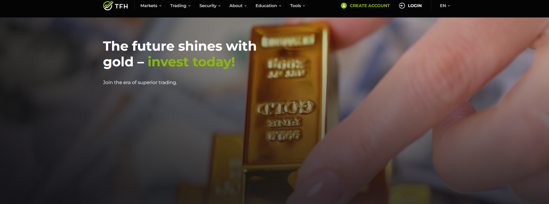 Topfin Holding SA - website